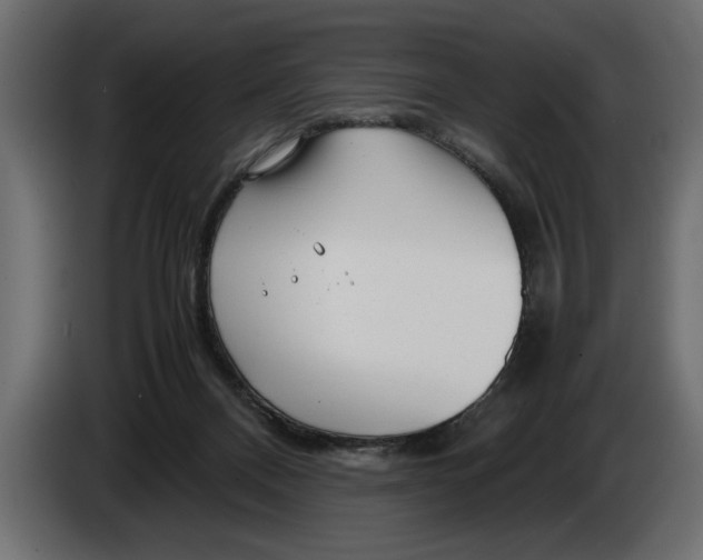 X0000083600120200703021924