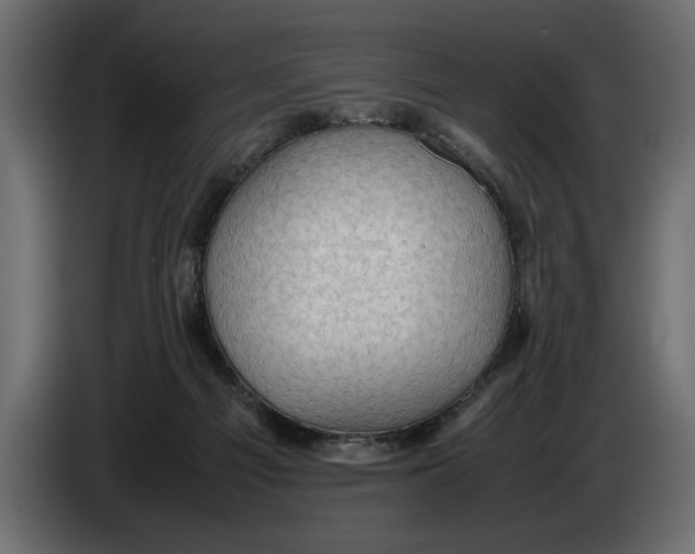 X0000083600121200703021924