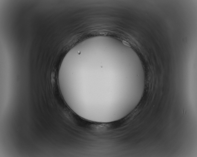 X0000083600122200703021924