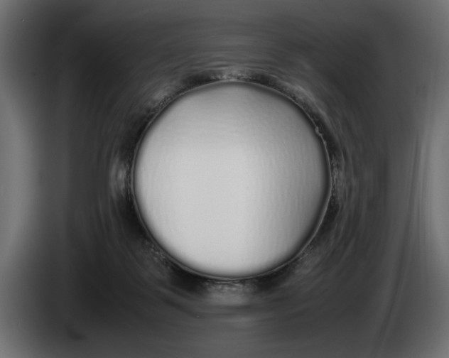 X0000083600123200703021924