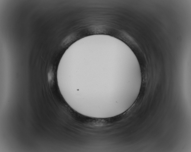 X0000083600124200703021924