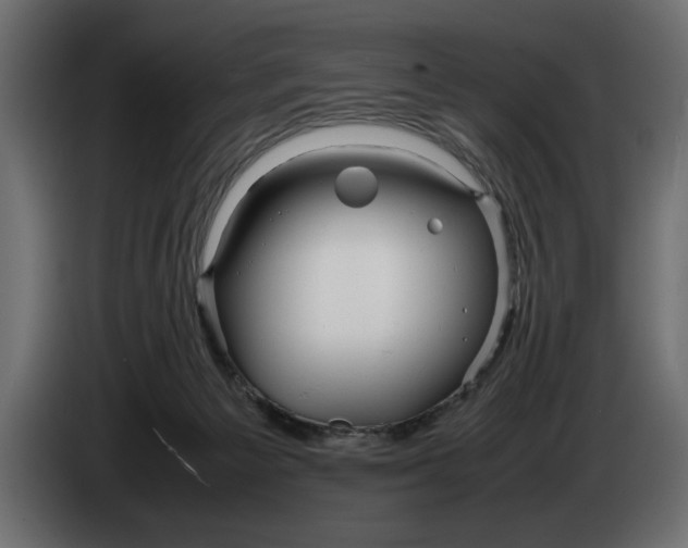 X0000083600125200703021924