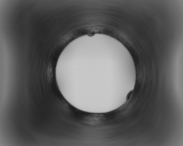 X0000083600128200703021924