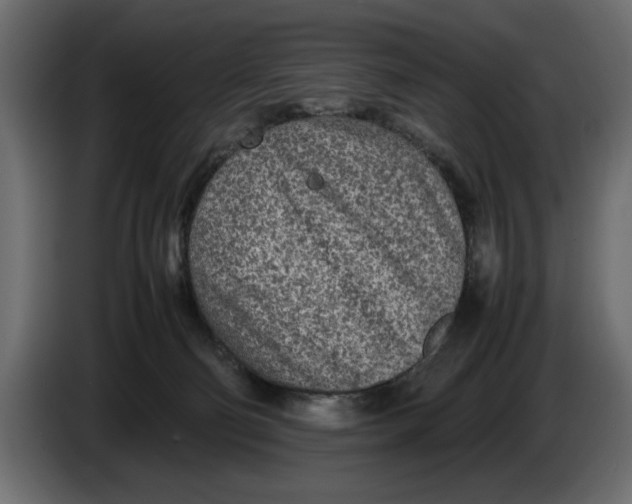 X0000083600130200703021924