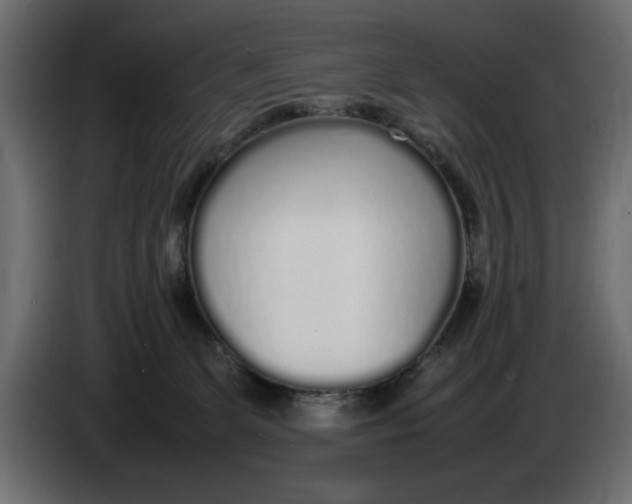 X0000083600131200703021924