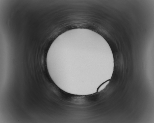 X0000083600132200703021924