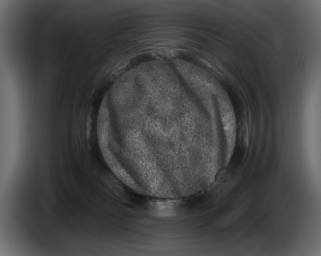 X0000083600134200703021923