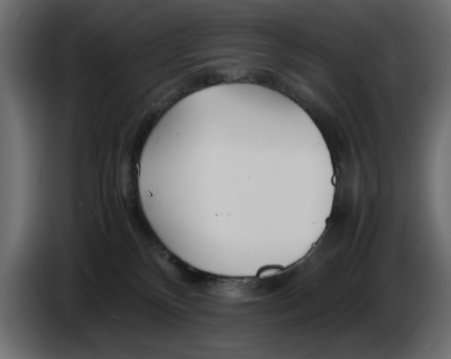 X0000083600136200703021923