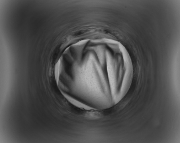 X0000083600137200703021923