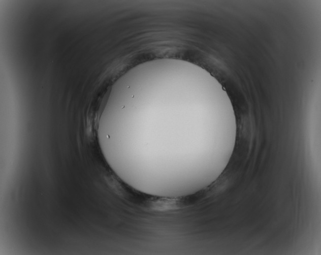 X0000083600138200703021923