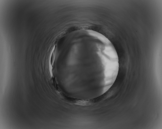 X0000083600139200703021923