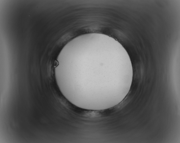 X0000083600140200703021923