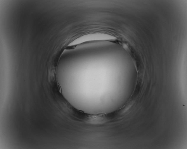 X0000083600141200703021923