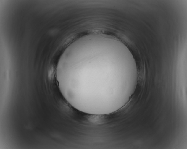 X0000083600142200703021923