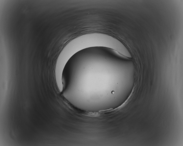 X0000083600144200703021923