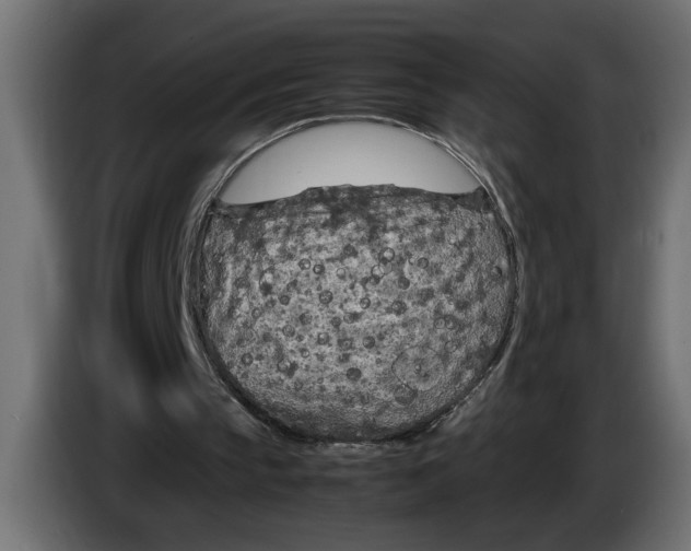 X0000083600145200703021922