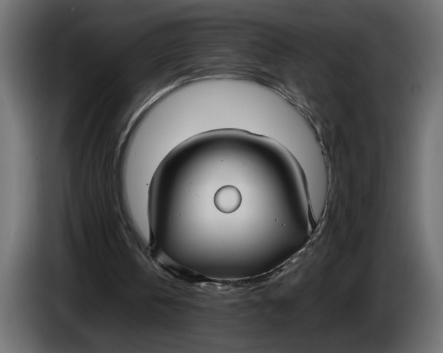 X0000083600146200703021922