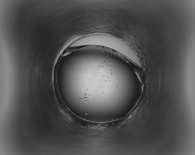 X0000083600148200703021922