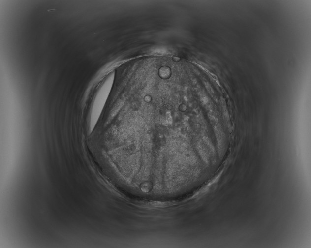 X0000083600149200703021922