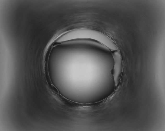 X0000083600150200703021922