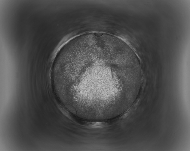 X0000083600151200703021922