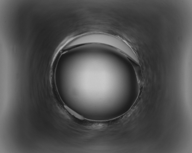 X0000083600152200703021922