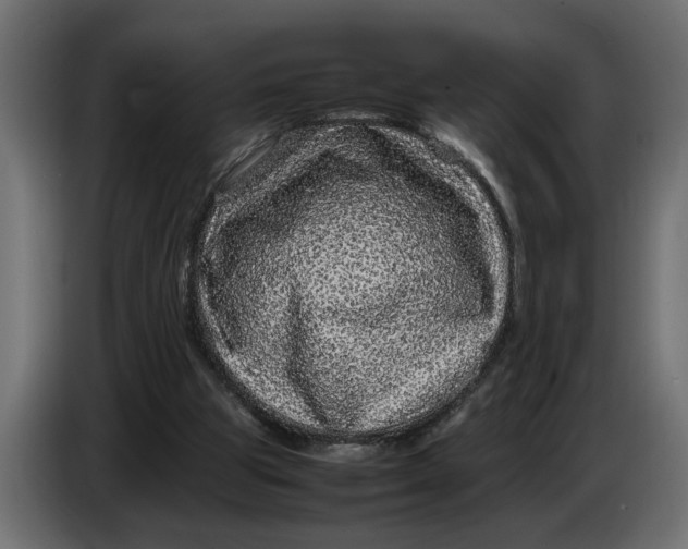 X0000083600153200703021923