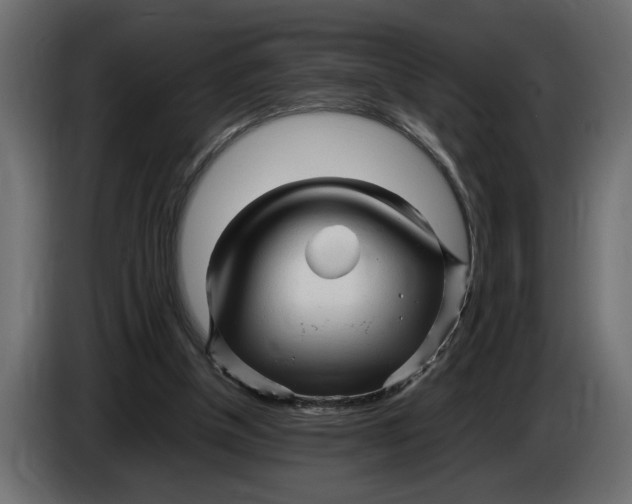 X0000083600154200703021923