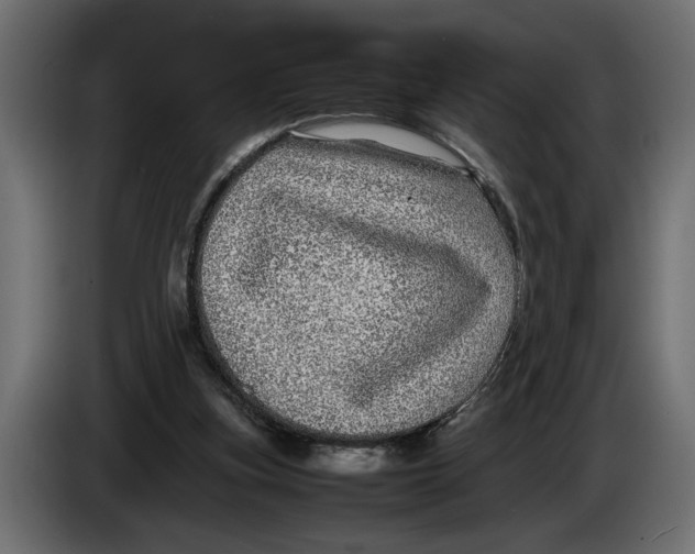 X0000083600155200703021923