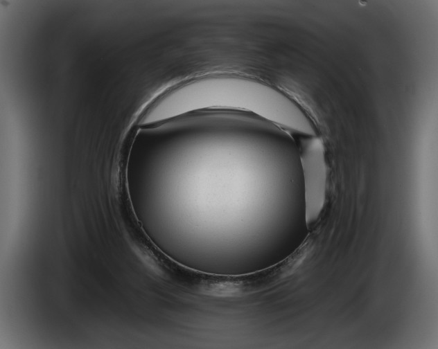 X0000083600156200703021923