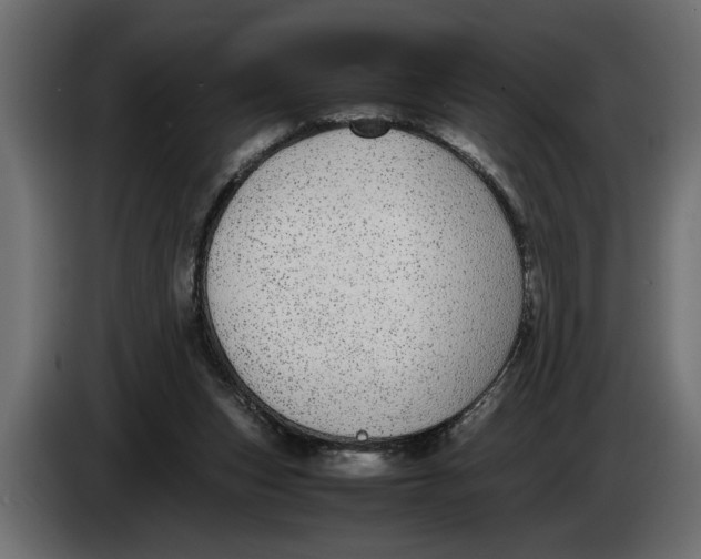 X0000083600159200703021923