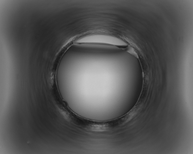 X0000083600160200703021923