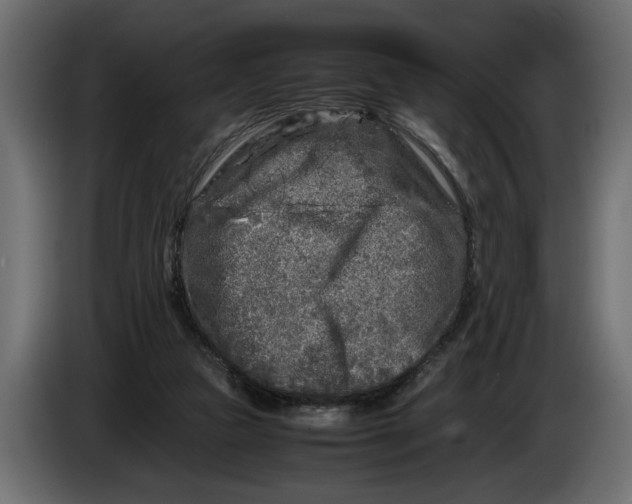 X0000083600161200703021923