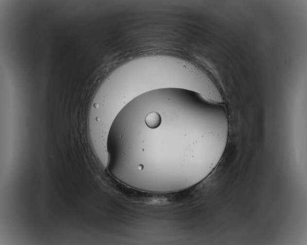 X0000083600162200703021923