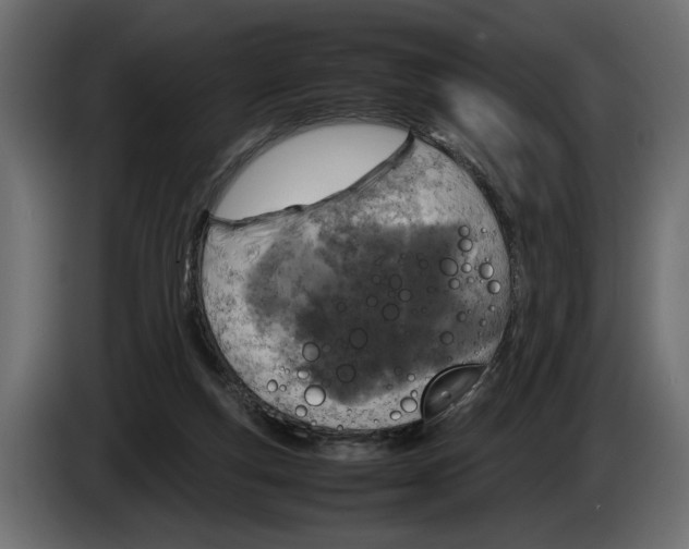 X0000083600163200703021923