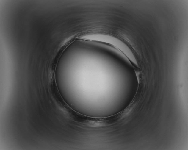 X0000083600164200703021923