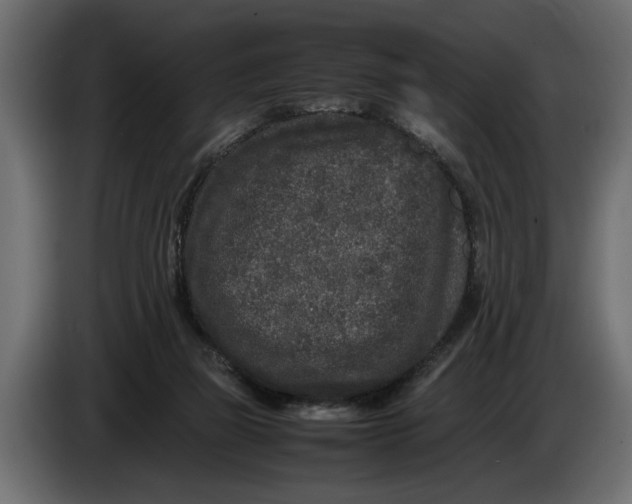 X0000083600165200703021923