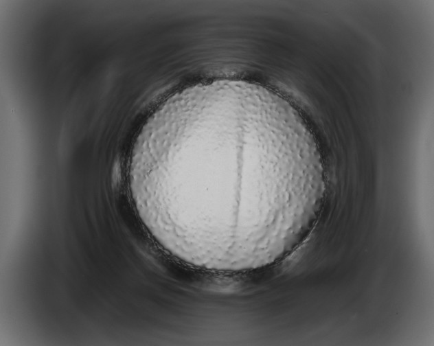 X0000083600166200703021923