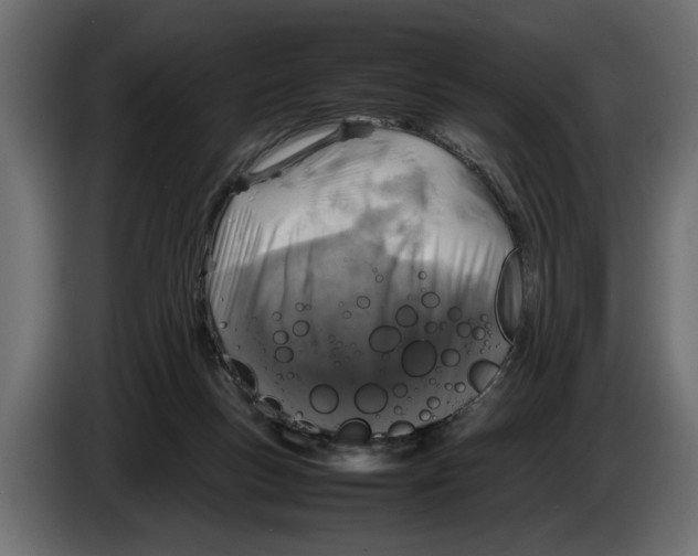 X0000083600167200703021923