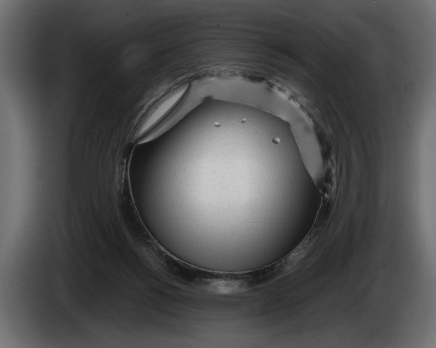 X0000083600168200703021923