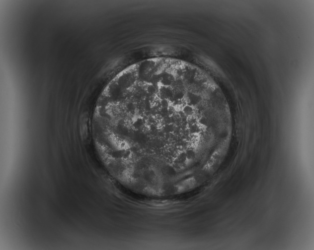 X0000083600169200703021923