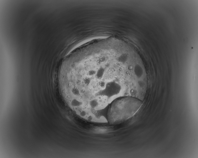 X0000083600171200703021923