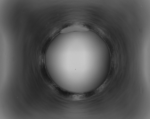 X0000083600172200703021923