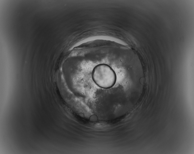 X0000083600173200703021923