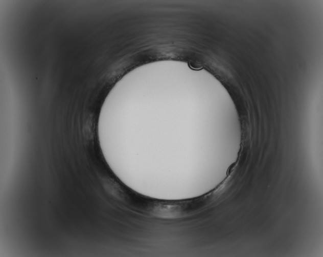 X0000083600174200703021923