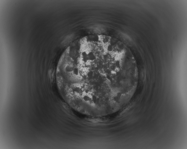 X0000083600177200703021923