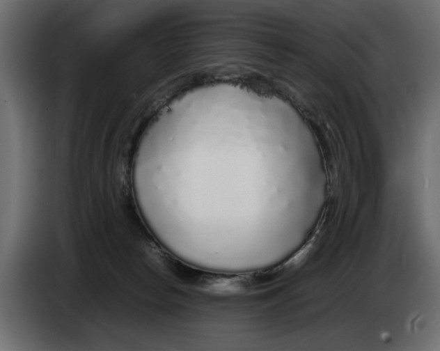 X0000083600178200703021923