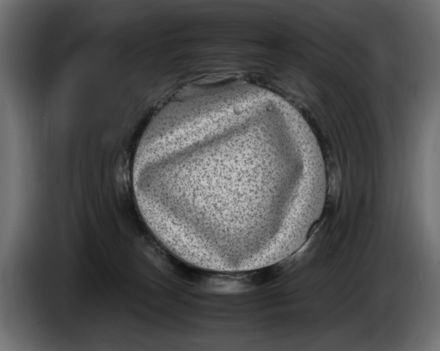 X0000083600179200703021923