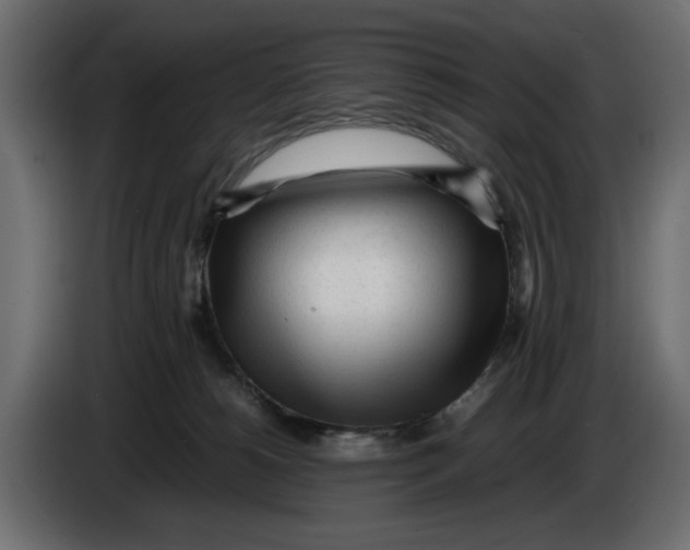 X0000083600180200703021923