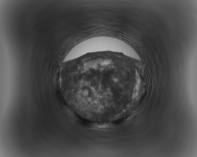 X0000083600181200703021923